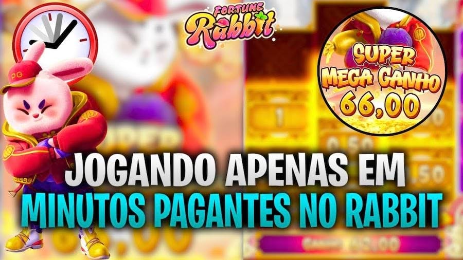 melhores sites de aposta cassino